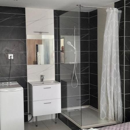 Rive-de-Gier Appartement 2 Pieces מראה חיצוני תמונה