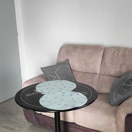Rive-de-Gier Appartement 2 Pieces מראה חיצוני תמונה